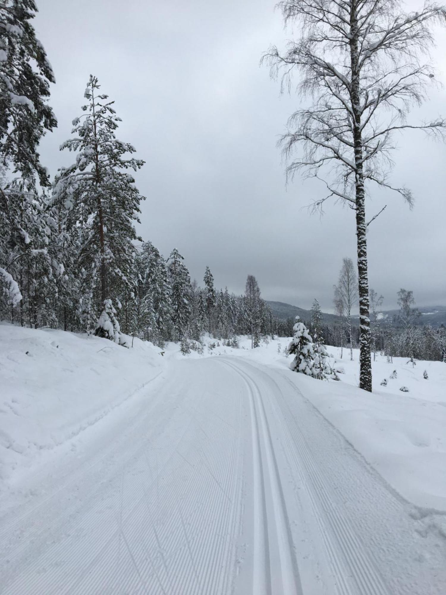 Bed And Breakfast Hadeland Harestua Buitenkant foto